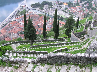 Kotor